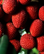 Lychee - 100 pcs- We alway's pick the best